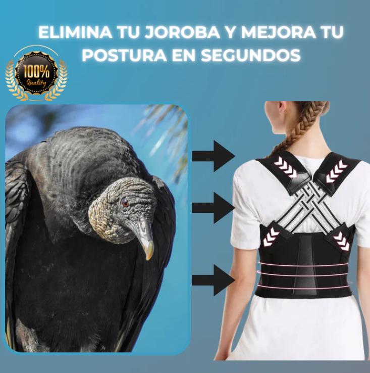 FlexBack™ - Corrector de Postura Unisex Premium