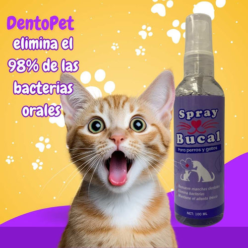 DentoPet™ | Adiós al mal aliento en 3 segundos