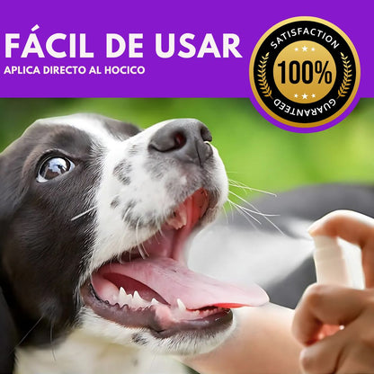 DentoPet™ | Adiós al mal aliento en 3 segundos